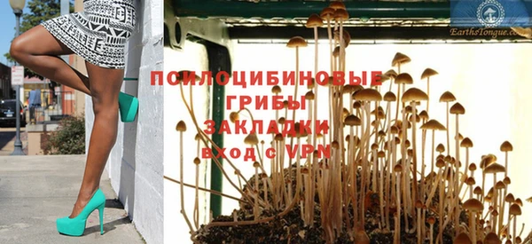 ГАЛЛЮЦИНОГЕННЫЕ ГРИБЫ Баксан
